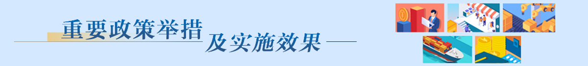 重要政策舉措及實施效果